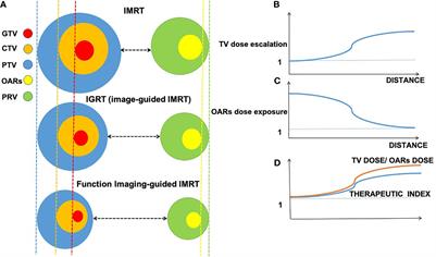 Role of MRI-Based Functional Imaging in Improving the Therapeutic Index of Radiotherapy in Cancer Treatment